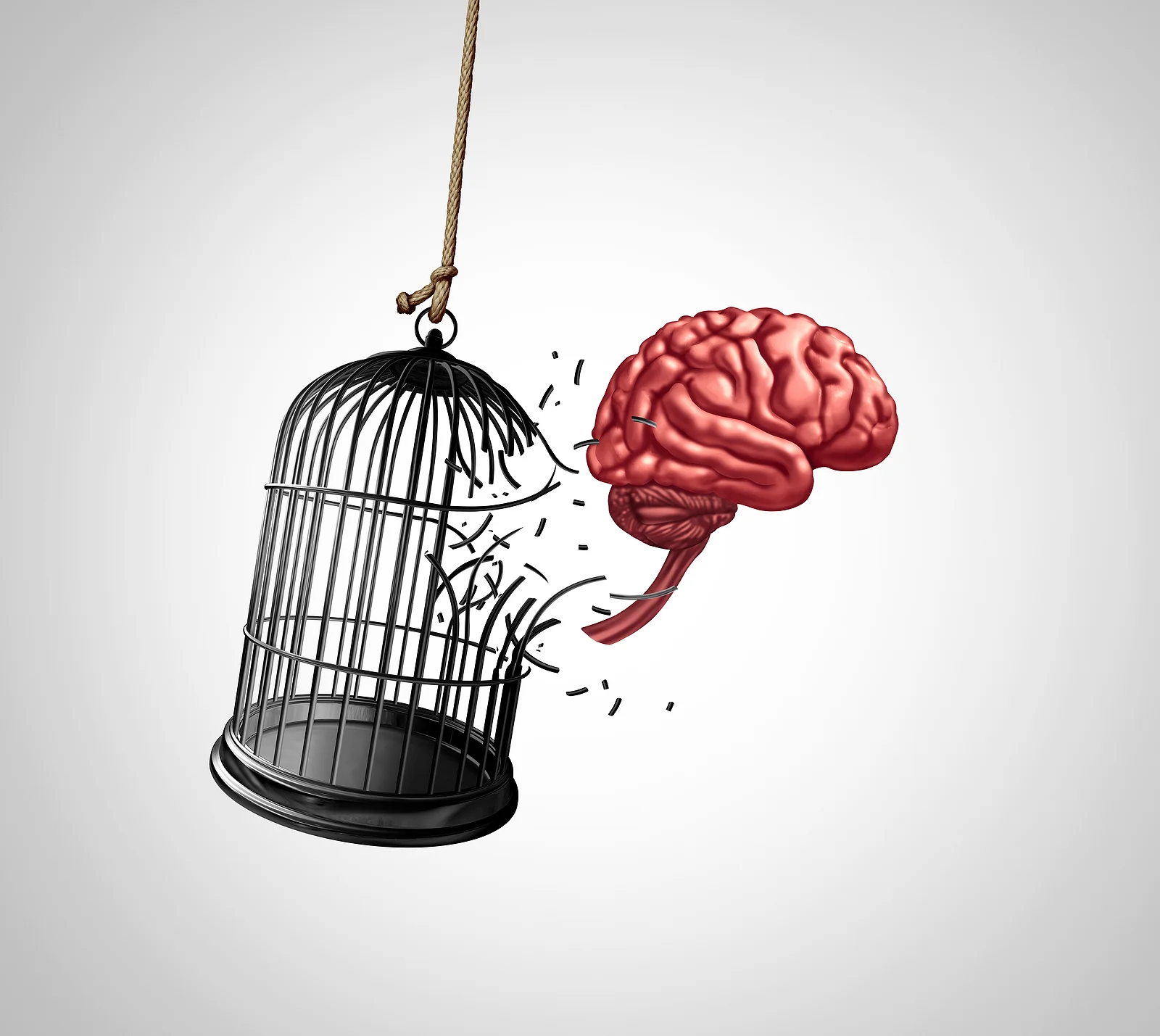 cognitive behavioral therapy