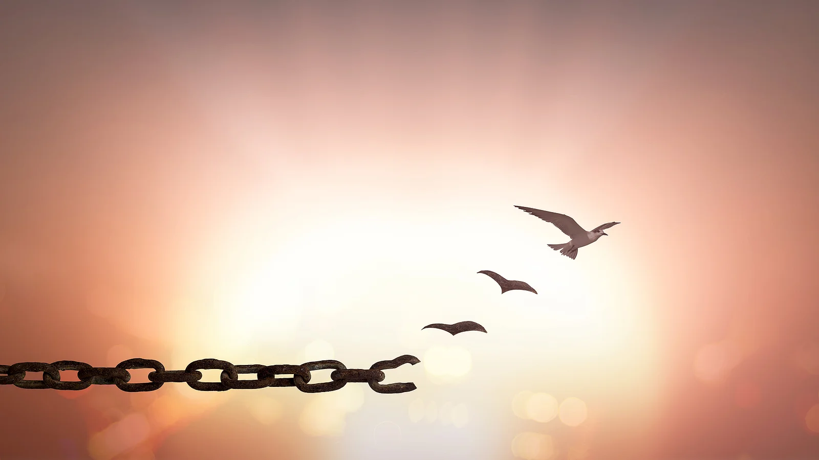 the psychology of forgiveness