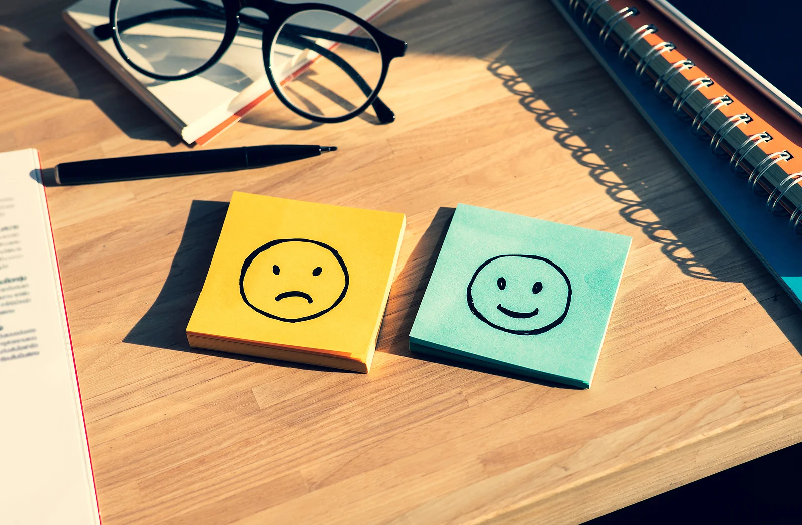 mood disorder support